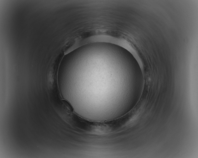 X0000089380215200706291322