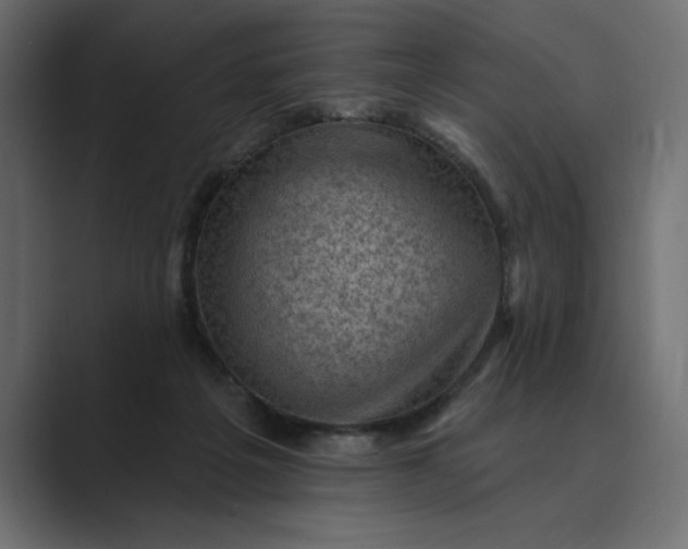 X0000089380217200706291322