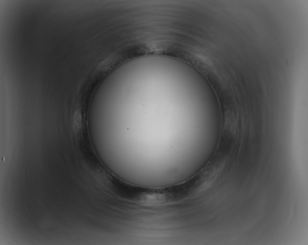 X0000089380220200706291322