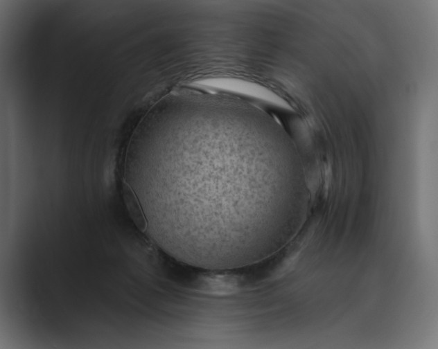 X0000089380221200706291322