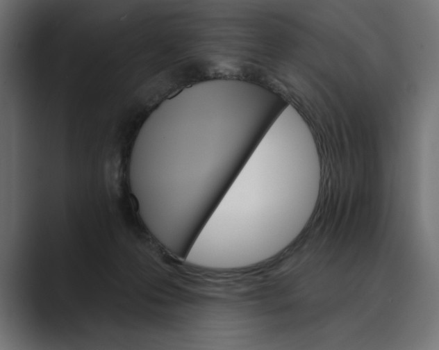 X0000089380223200706291322