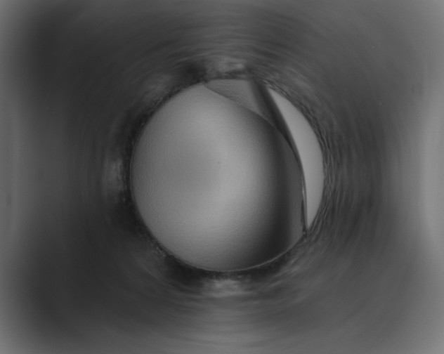 X0000089380224200706291322