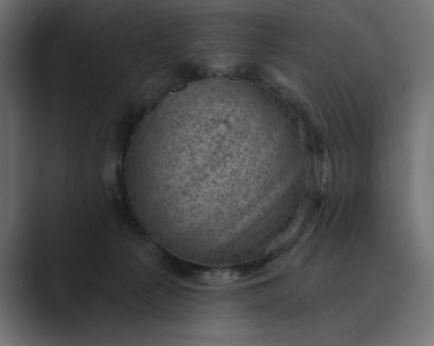 X0000089380225200706291322