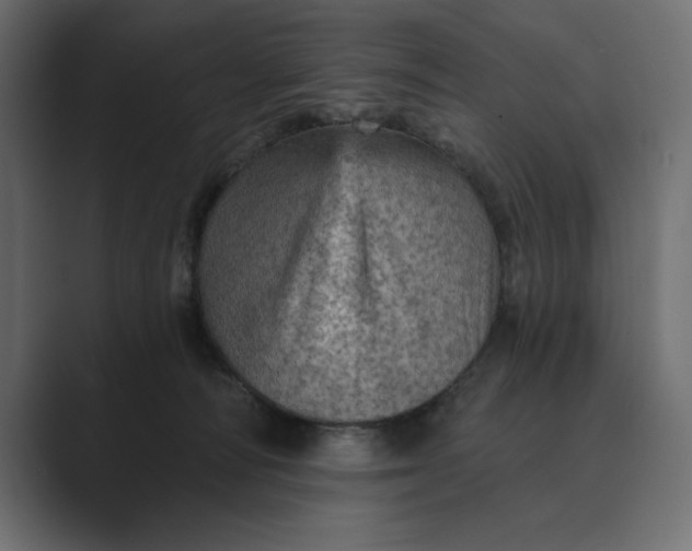 X0000089380226200706291322