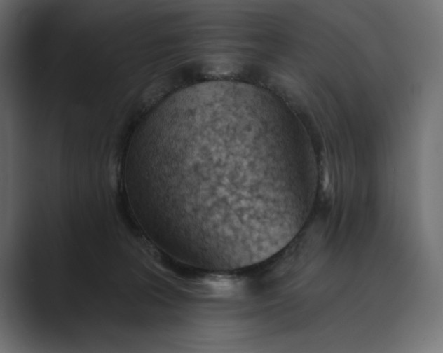 X0000089380227200706291322