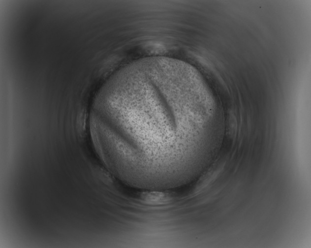 X0000089380230200706291322