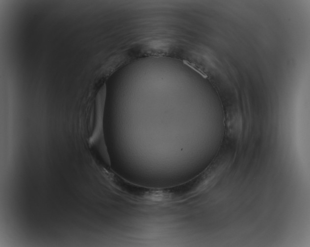 X0000089380231200706291322