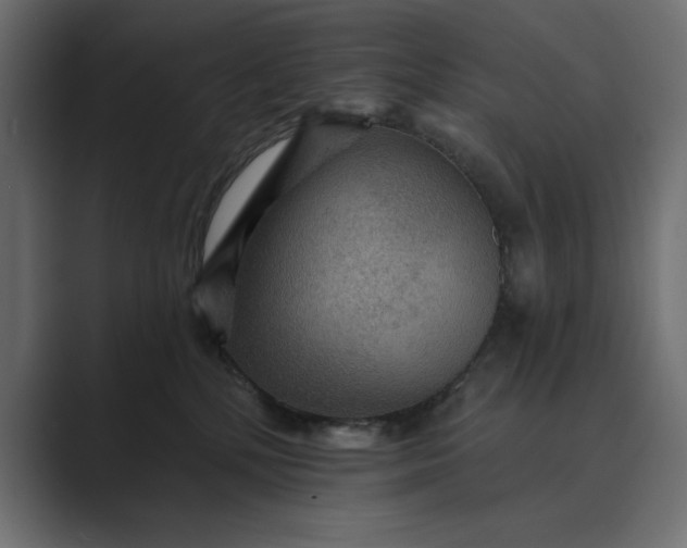 X0000089380232200706291322