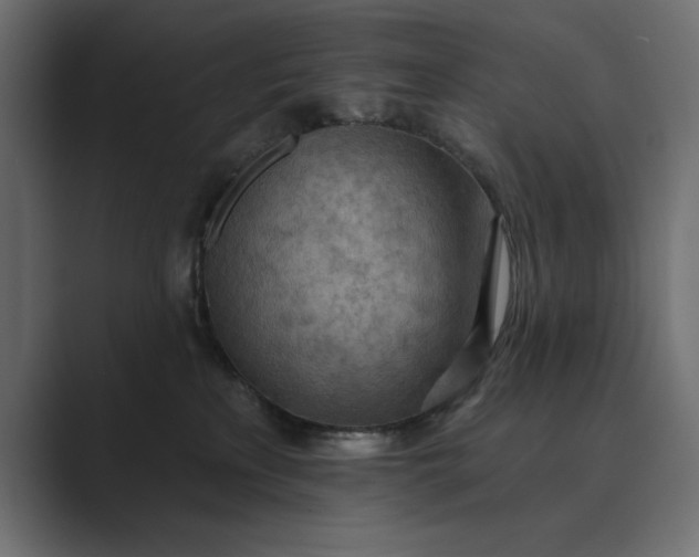 X0000089380233200706291322