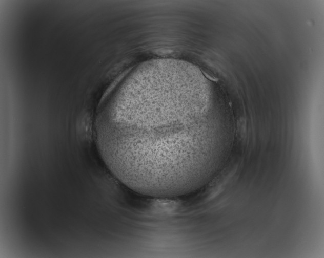 X0000089380234200706291322
