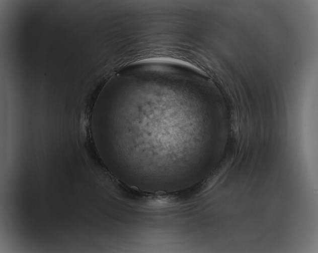 X0000089380235200706291322