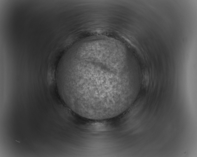X0000089380236200706291322