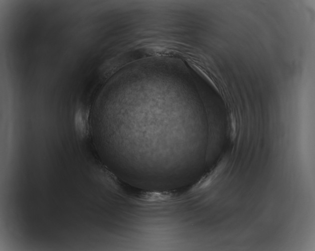 X0000089380239200706291322