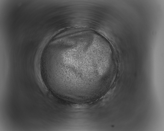 X0000089380241200706291322