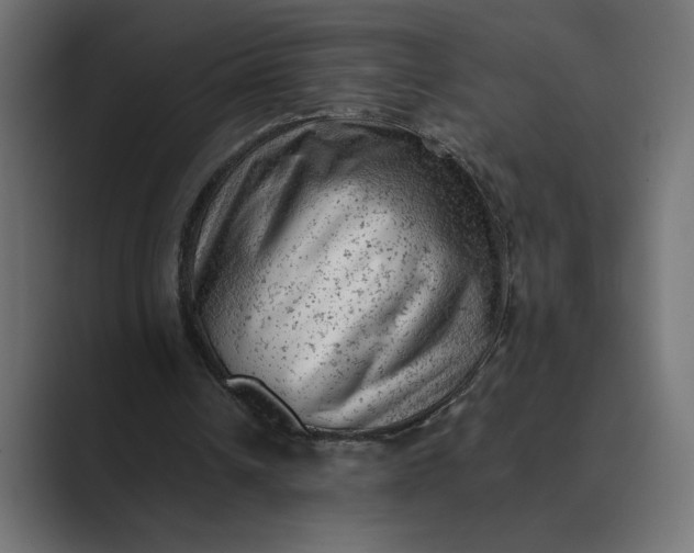 X0000089380242200706291322