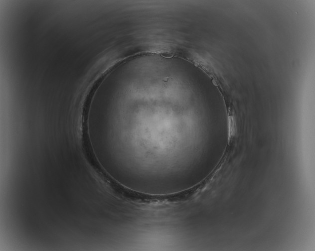 X0000089380243200706291322