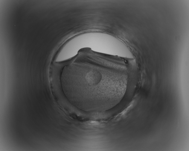 X0000089380244200706291322