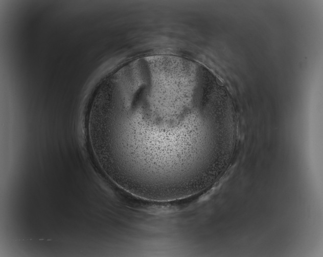 X0000089380245200706291322