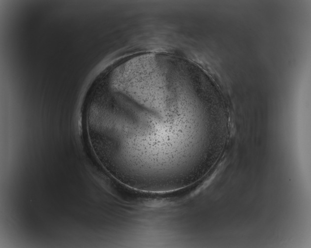 X0000089380246200706291322