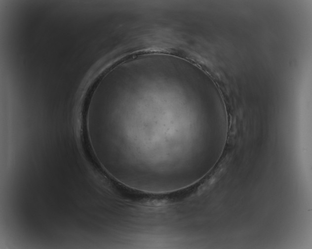 X0000089380247200706291322