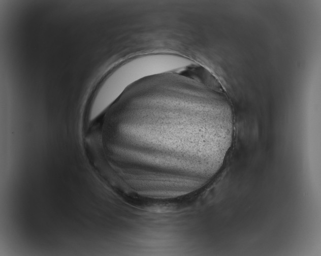 X0000089380248200706291322
