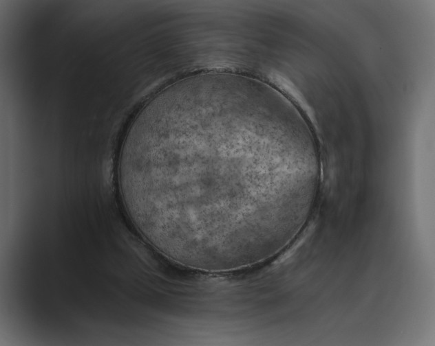 X0000089380249200706291322