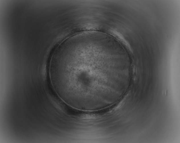 X0000089380250200706291322