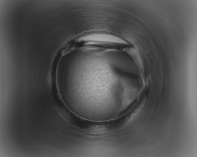 X0000089380252200706291322