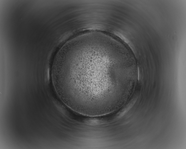X0000089380253200706291322
