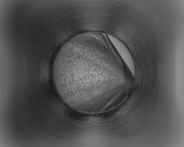 X0000089380255200706291322