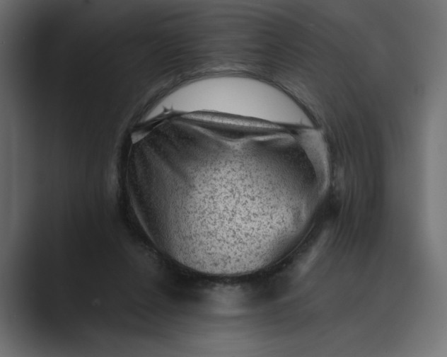 X0000089380256200706291322