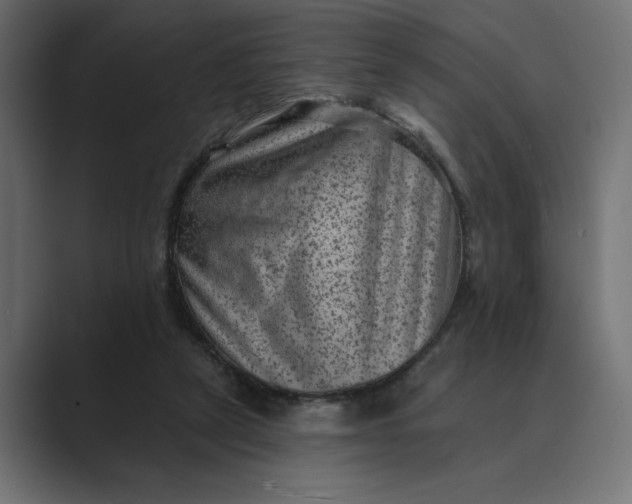 X0000089380257200706291322