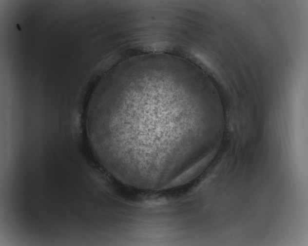 X0000089380258200706291322