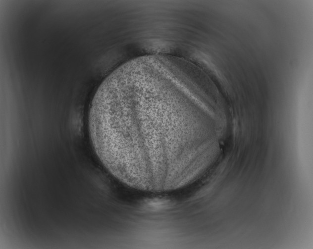 X0000089380259200706291322