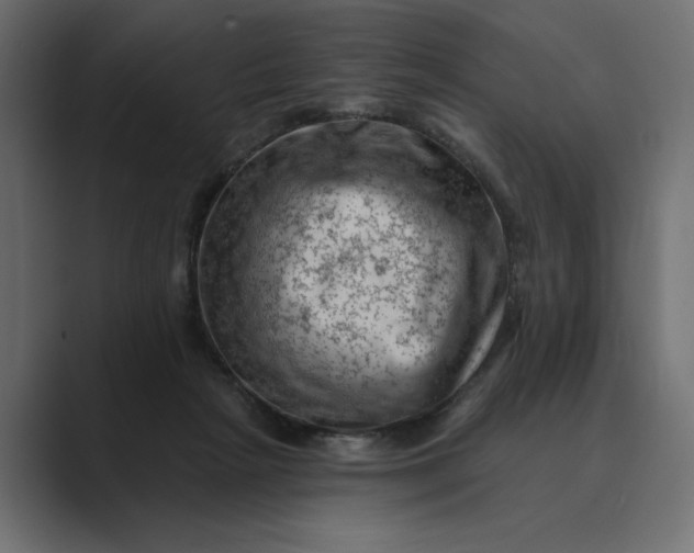 X0000089380265200706291322