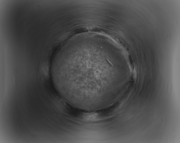 X0000089380266200706291322
