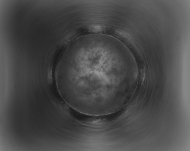 X0000089380267200706291322