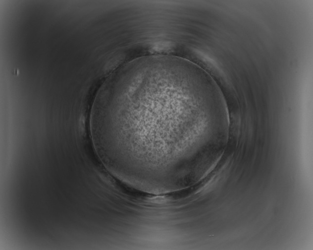 X0000089380269200706291322