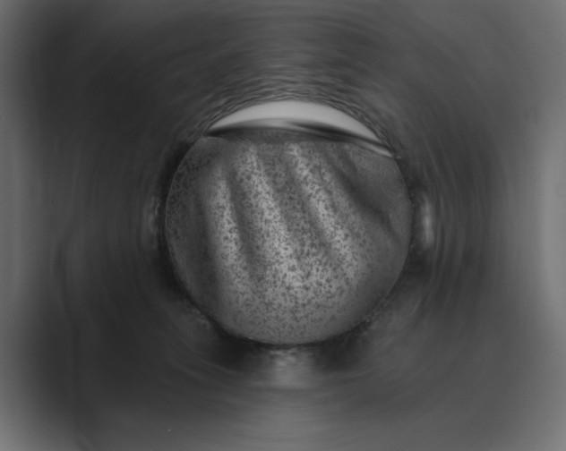 X0000089380275200706291322
