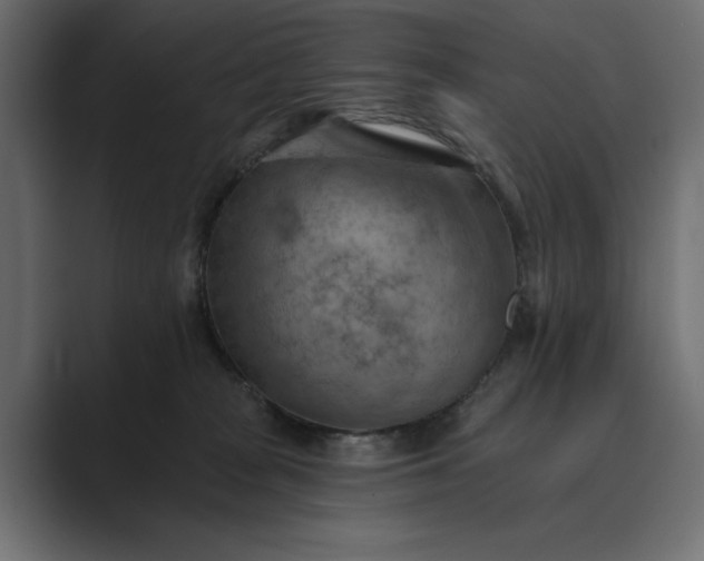 X0000089380277200706291322