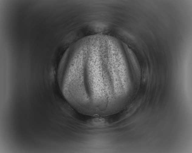 X0000089380279200706291322