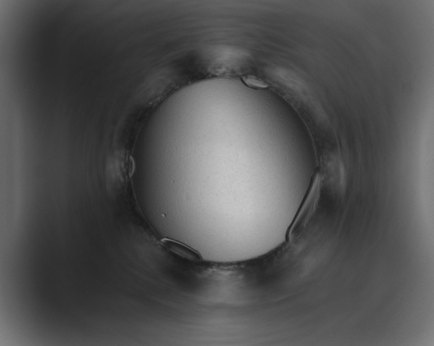 X0000089380280200706291322