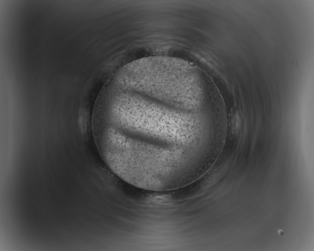 X0000089380283200706291322