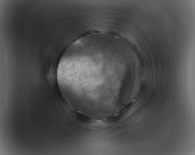 X0000089380285200706291322