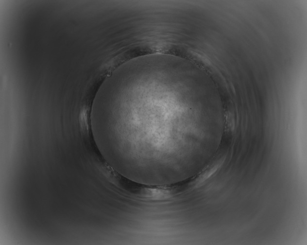 X0000089380286200706291322