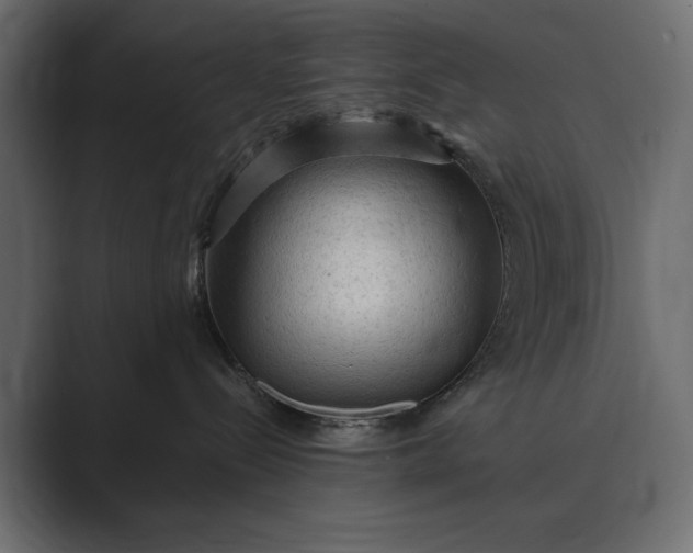 X0000089380288200706291322