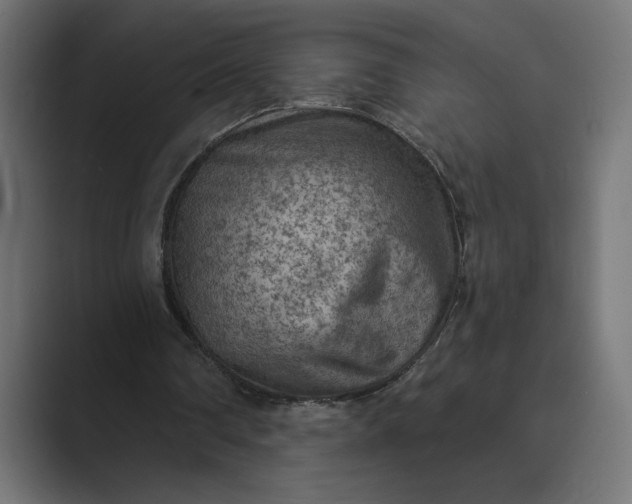 X0000089380290200706291322