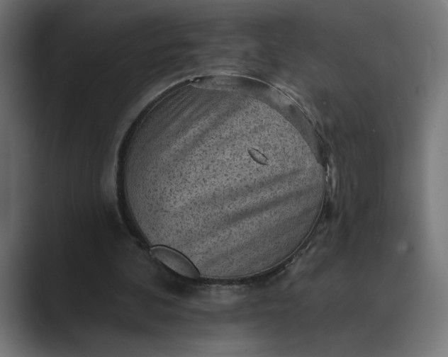 X0000089380292200706291321