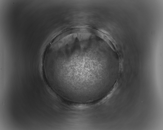 X0000089380293200706291321