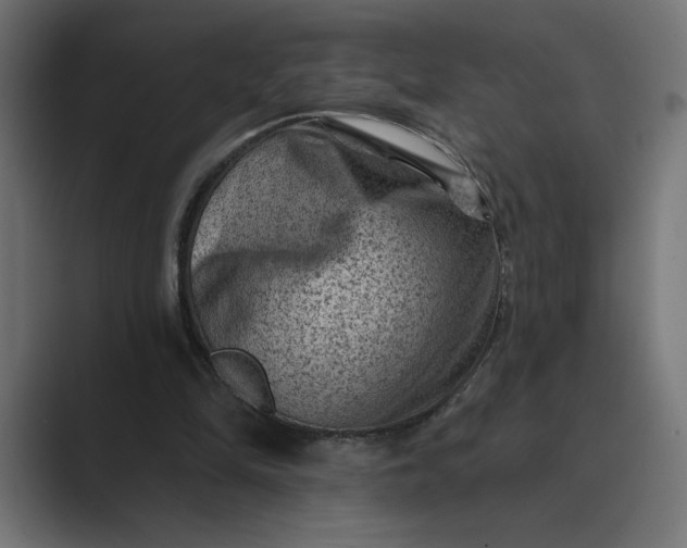 X0000089380294200706291321